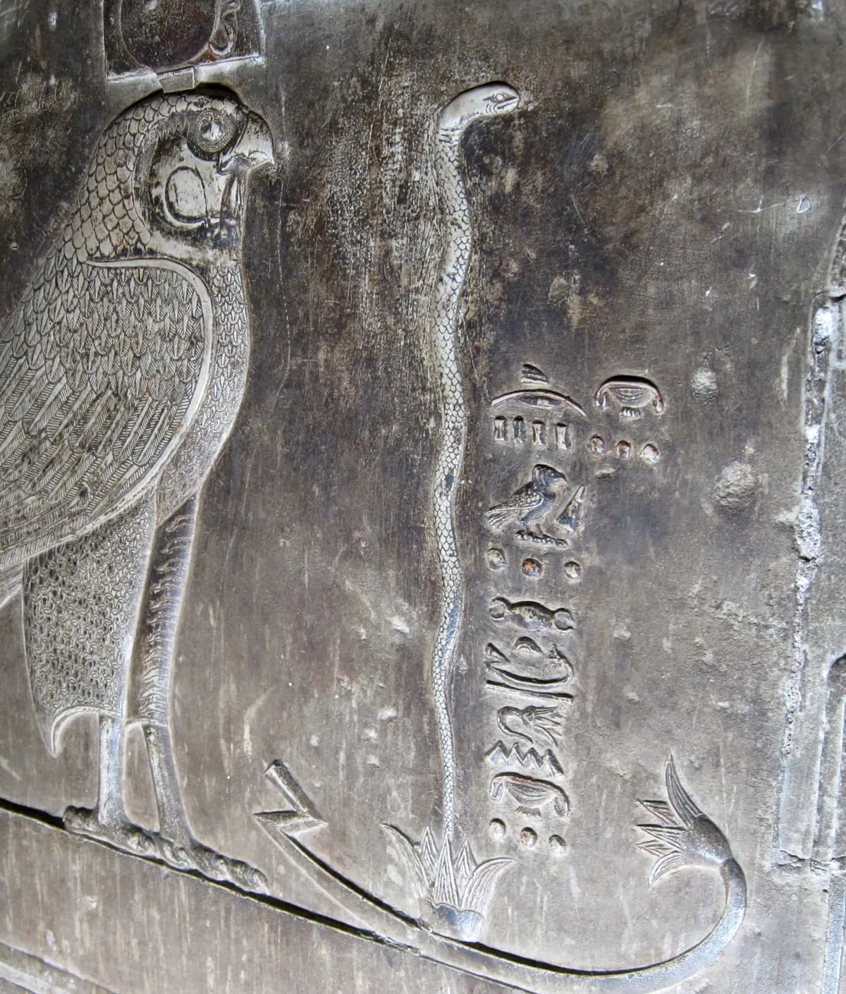 Erhabenes Relief auf dunkel nachgedunkeltem Stein, schräg von der Seite aufgenommen. Bildmitte: eine schmale Schlange, die sich senkrecht aus einer geöffneten Lotosblüte am unteren Rand emporwindet; ihr Körper ist fein geschuppt, der Kopf oben nach rechts gewandt, der Schwanz läuft nach rechts unten aus und rollt sich ein. Rechts neben der Schlange steht eine senkrechte Reihe eingetiefter Schriftzeichen. Links steht ein großer Falke mit sorgfältig durchgezeichnetem Federkleid auf derselben Standlinie. Der Stein ist stellenweise ausgeblüht und beschädigt.
