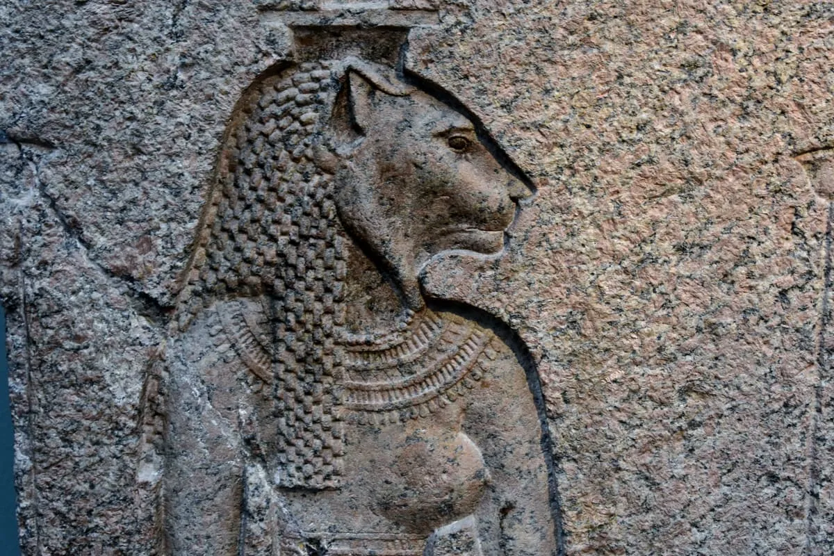 Nahaufnahme eines Reliefs in grobkörnigem, rötlichem Granit. Eine Gestalt ist im Profil nach rechts gearbeitet: Der Kopf ist der einer Löwin mit gerundeter Schnauze, aufgestellten Ohren und deutlich ausgeführtem Auge. Vom Kopf fällt eine lange Perücke herab, die über und über mit kleinen erhabenen Löckchen besetzt ist. Über der Brust liegt ein breiter Halskragen aus mehreren Reihen aneinandergereihter Perlen. Am oberen Bildrand ist der Ansatz eines Kopfaufsatzes angeschnitten. Die Oberfläche ist verwittert, der Stein zeigt eine kräftige Sprenkelung aus hellen und dunklen Körnern.